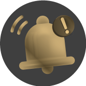 no-incluye